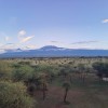 Jumbo Kenija - Amboseli i Masai selo