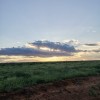 Jumbo Kenija - Tsavo East i West