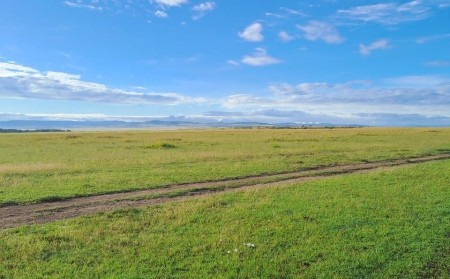 Masai Mara ravnica